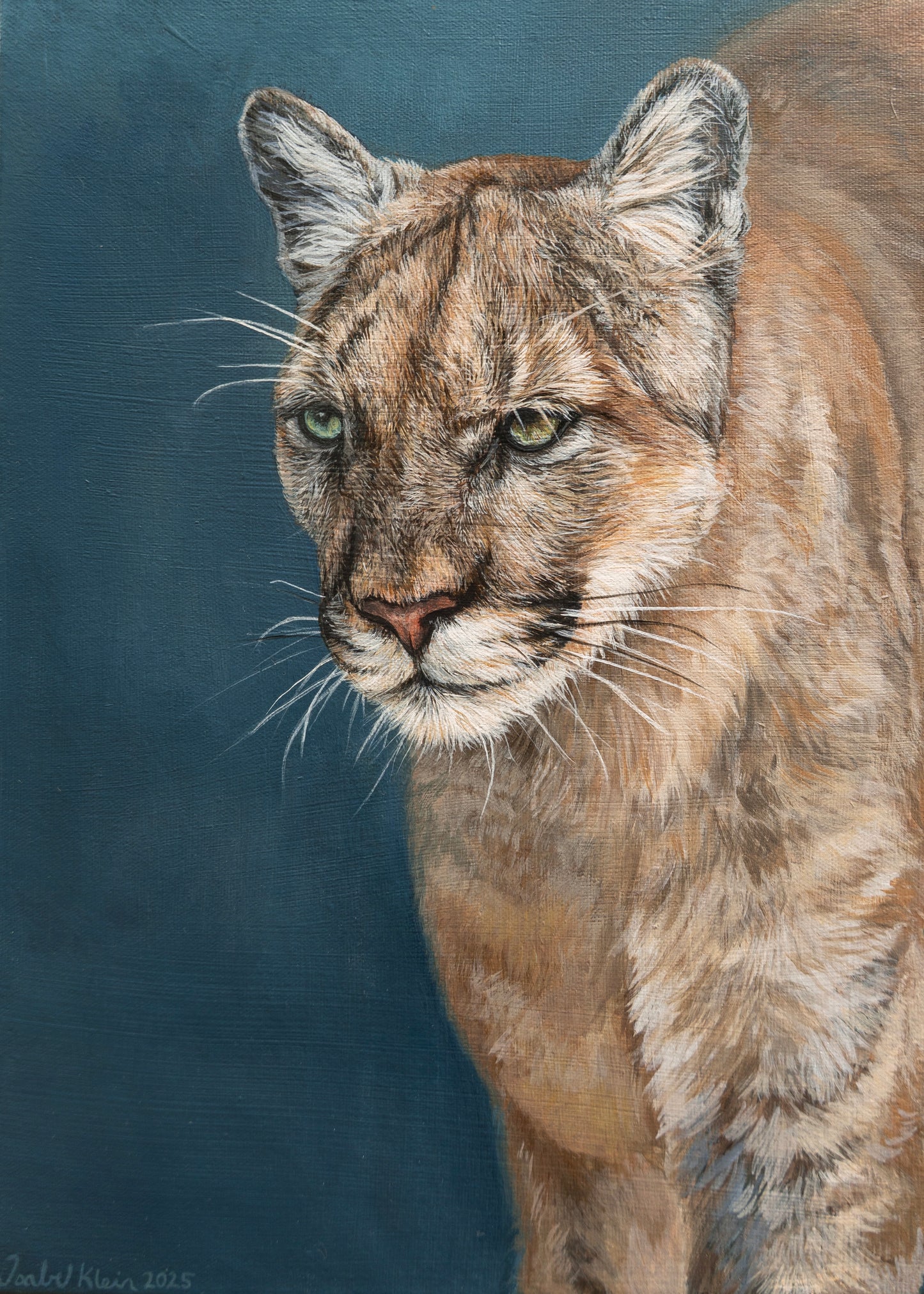 Detailed painting of a cougar on a dark blue background