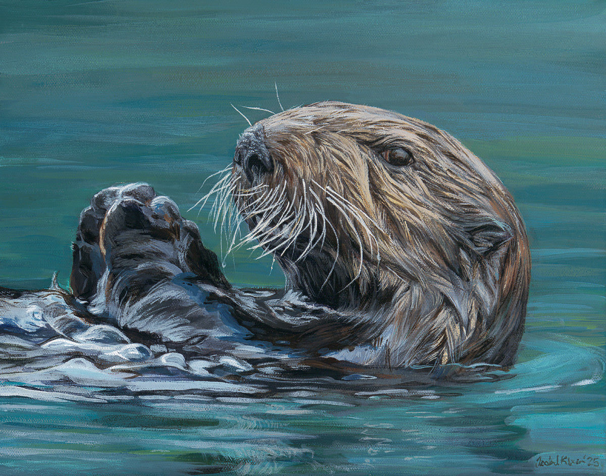 Sea Otter • Print