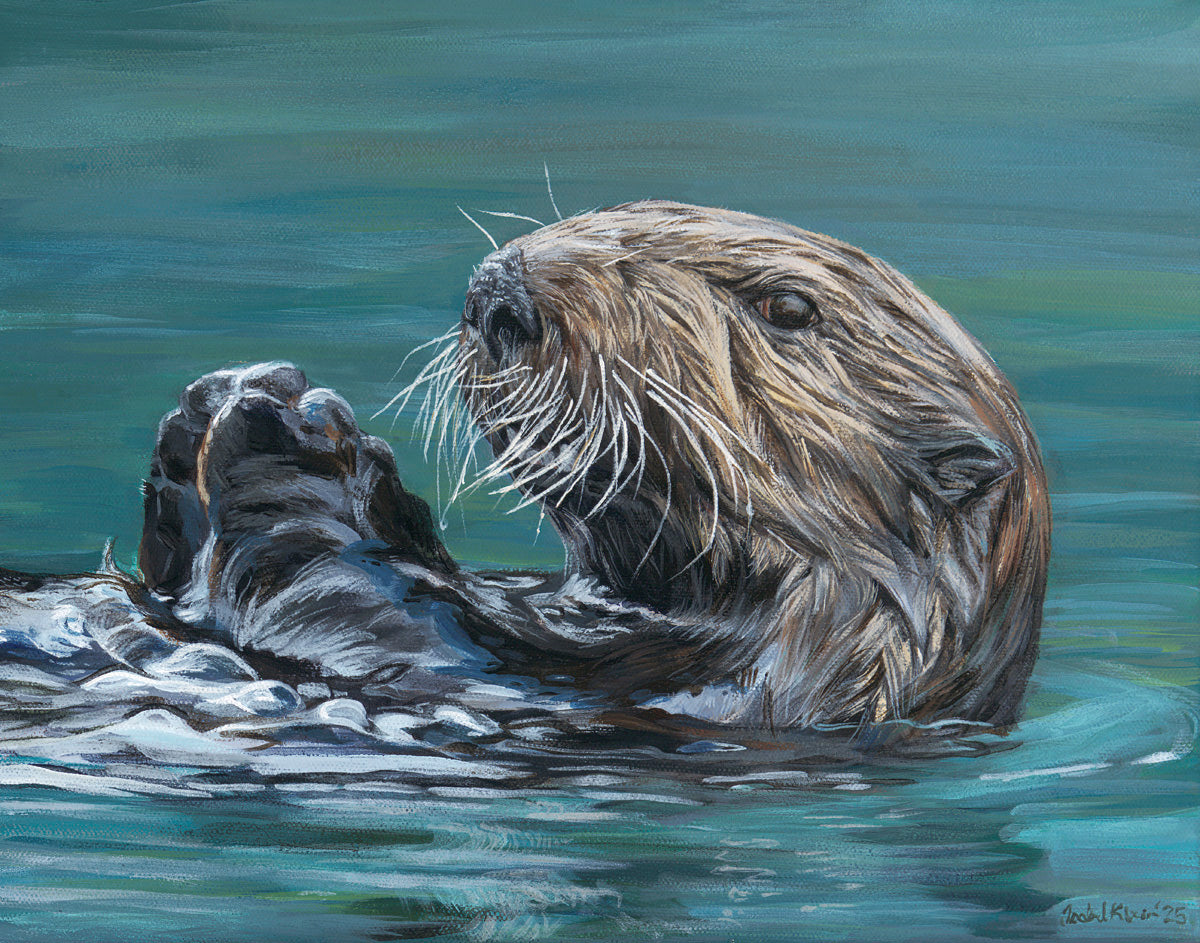 Sea Otter • Print