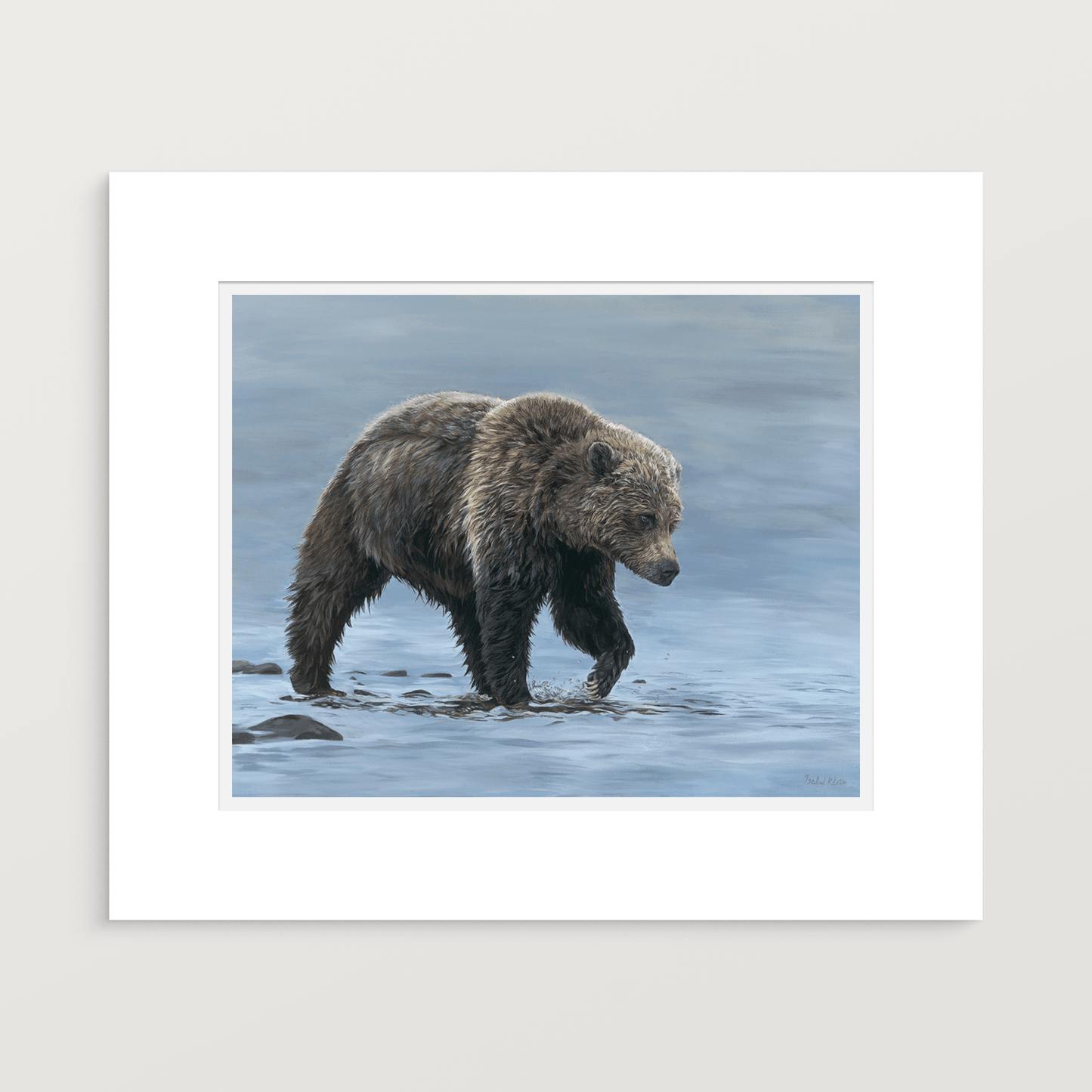 Wading Grizzly — Fine Art Print - Isabel Klein Art - Print