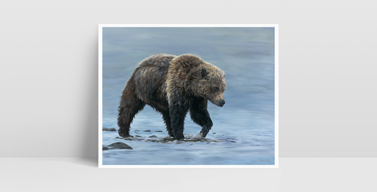 Wading Grizzly • Print