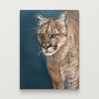 Cougar • Original painting