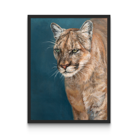 Cougar • Original painting
