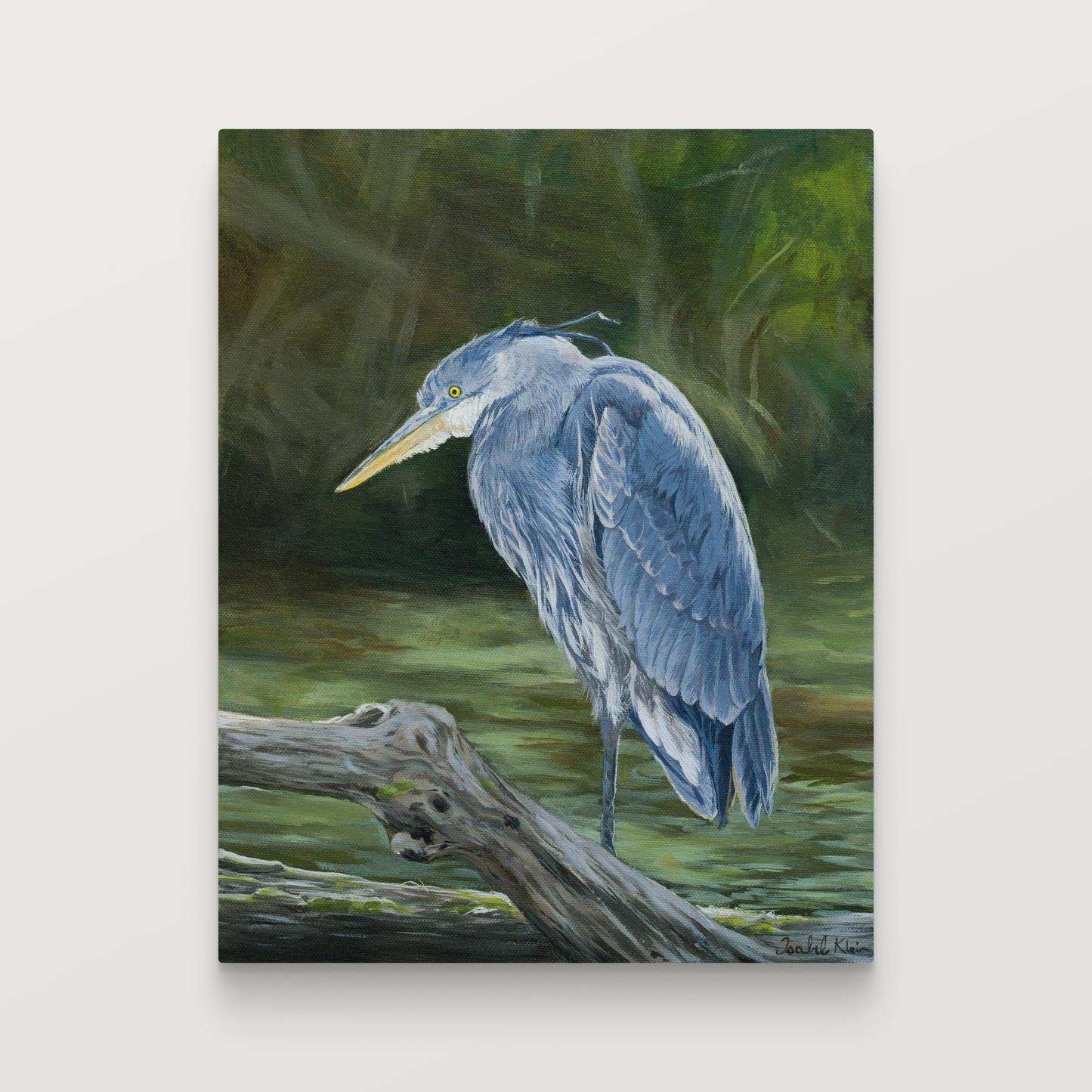 Great Blue Heron - Original Painting