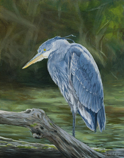 Great Blue Heron - Original Painting