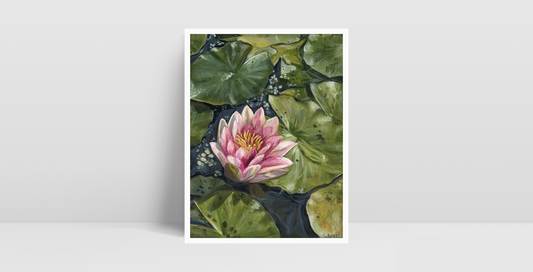 Water Lily • Print