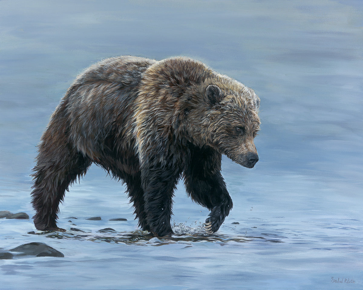 A detailed artwork of a grizzly bear wading in a river.