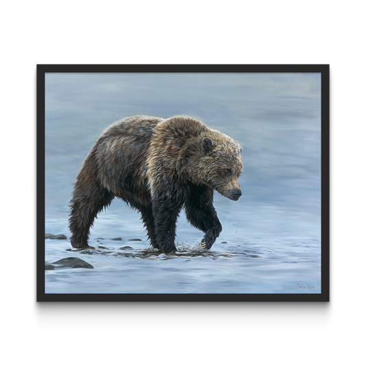 Framed artwork of a bear walking through water on a gray background
