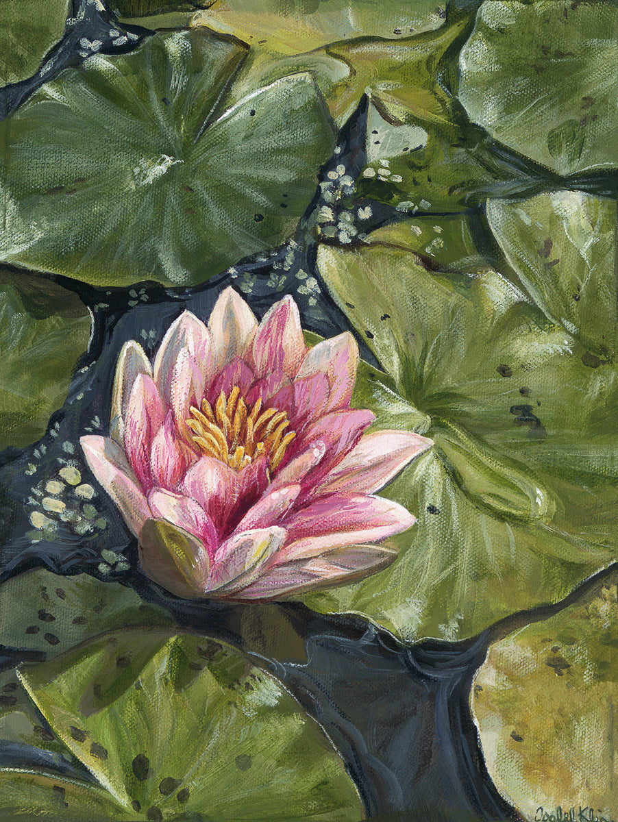 A detailed artwork of a pink water lily with green lily pads and water droplets on them, resembling the surface of a pond.