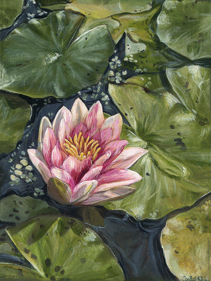 A detailed artwork of a pink water lily with green lily pads and water droplets on them, resembling the surface of a pond.