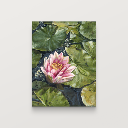 Framed artwork of a pink water lily with green leaves on a white background
