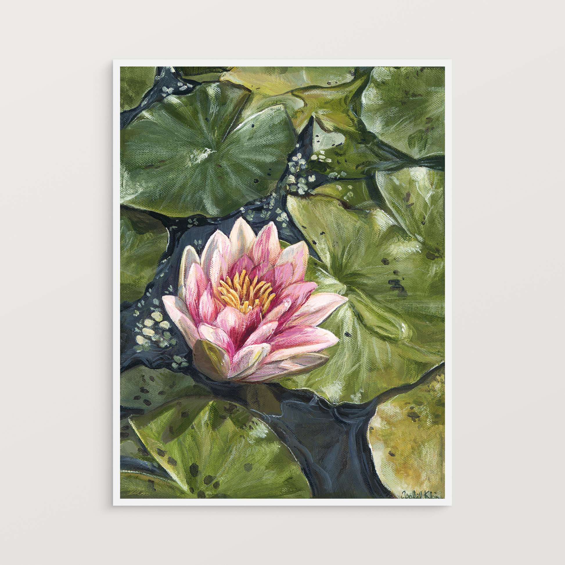 Framed artwork of a pink water lily with green leaves on a white background