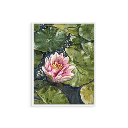 Framed artwork of a pink water lily with green leaves on a white background
