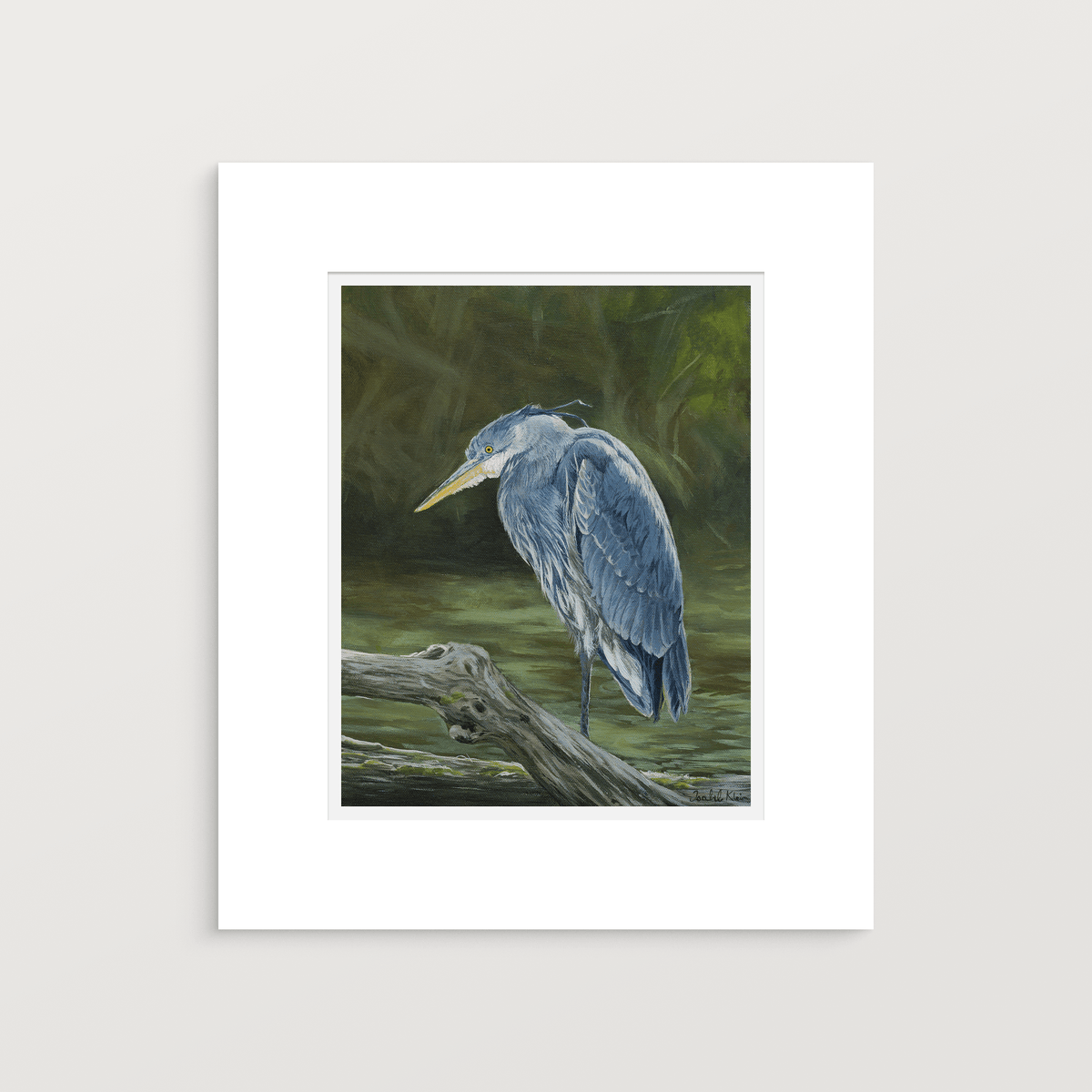 Great Blue Heron — Fine Art Print - Isabel Klein Art - Print