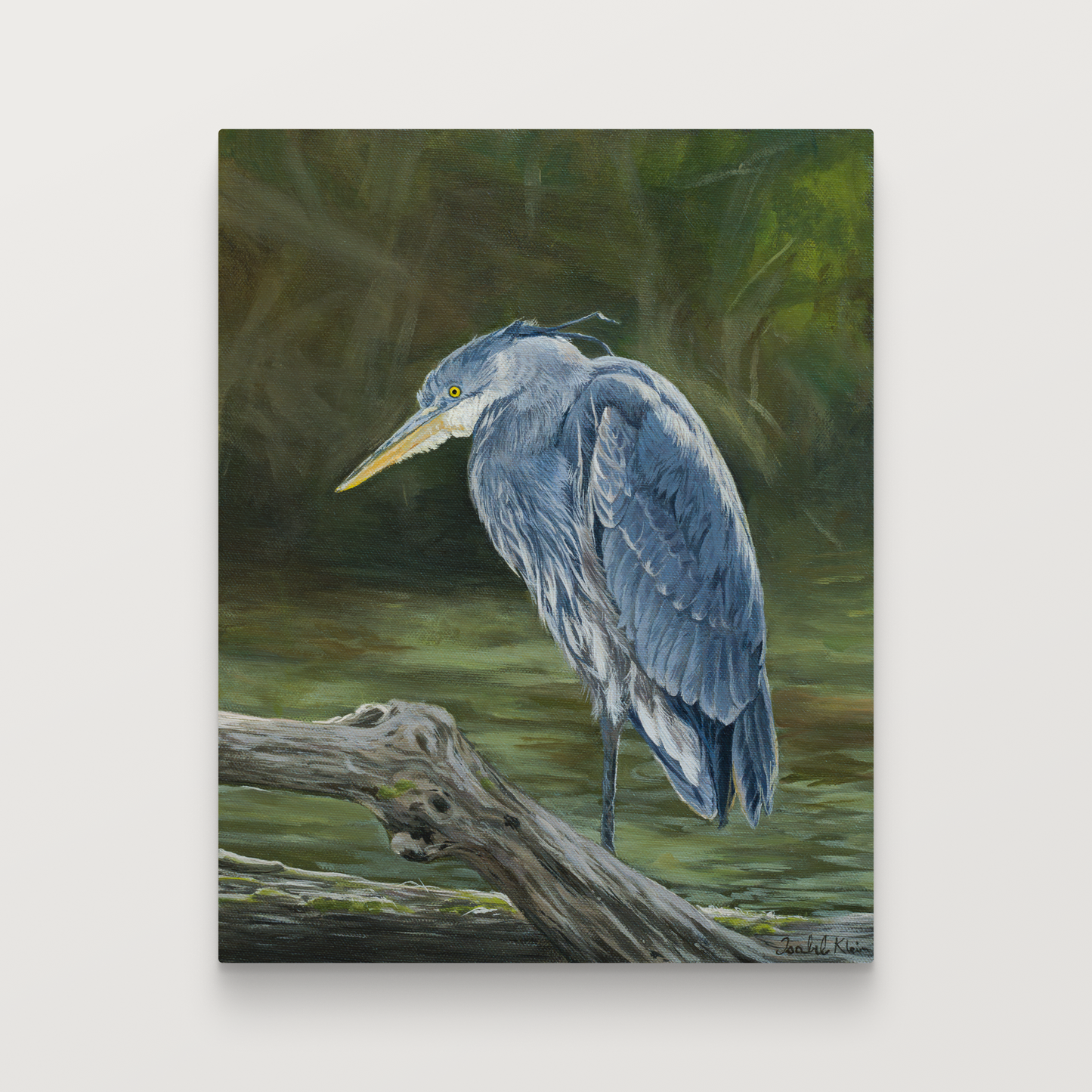 A vertical canvas painting of a blue heron standing on a fallen log in shallow greenish water, shown against a light gray background.