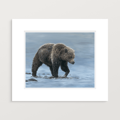 Wading Grizzly — Fine Art Print - Isabel Klein Art - Print
