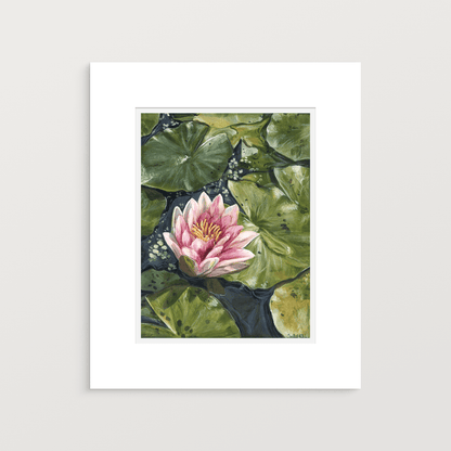 Water Lily — Fine Art Print - Isabel Klein Art - Print